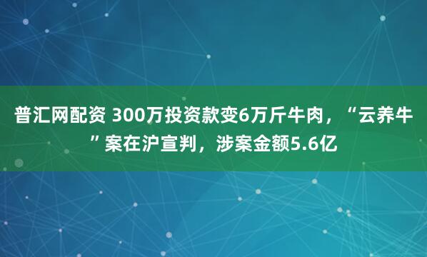 普汇网配资 300万投资款变6万斤牛肉，“云养牛”案在沪宣判，涉案金额5.6亿
