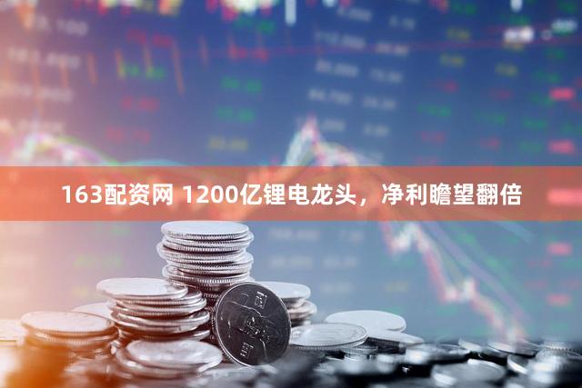 163配资网 1200亿锂电龙头，净利瞻望翻倍