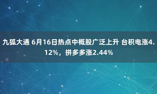 九狐大通 6月16日热点中概股广泛上升 台积电涨4.12%，拼多多涨2.44%