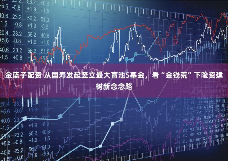 金篮子配资 从国寿发起竖立最大盲池S基金，看“金钱荒”下险资建树新念念路