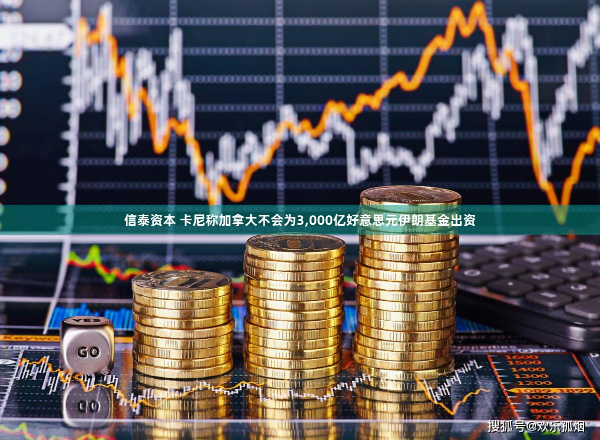 信泰资本 卡尼称加拿大不会为3,000亿好意思元伊朗基金出资