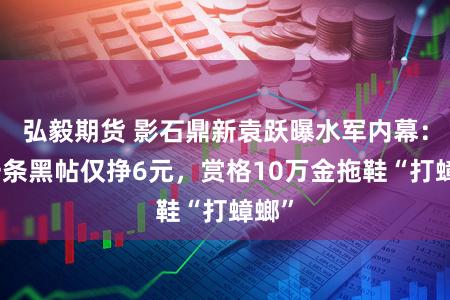 弘毅期货 影石鼎新袁跃曝水军内幕：发一条黑帖仅挣6元，赏格10万金拖鞋“打蟑螂”