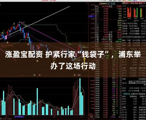 涨盈宝配资 护紧行家“钱袋子”，浦东举办了这场行动