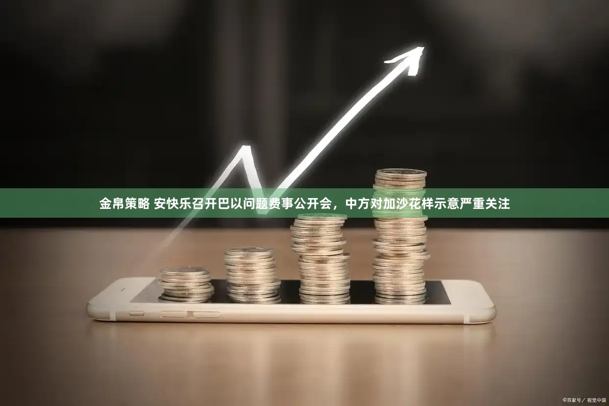 金帛策略 安快乐召开巴以问题费事公开会，中方对加沙花样示意严重关注
