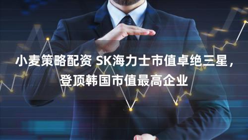小麦策略配资 SK海力士市值卓绝三星，登顶韩国市值最高企业